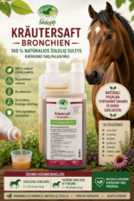 Galopp Krautersaft Bronchien