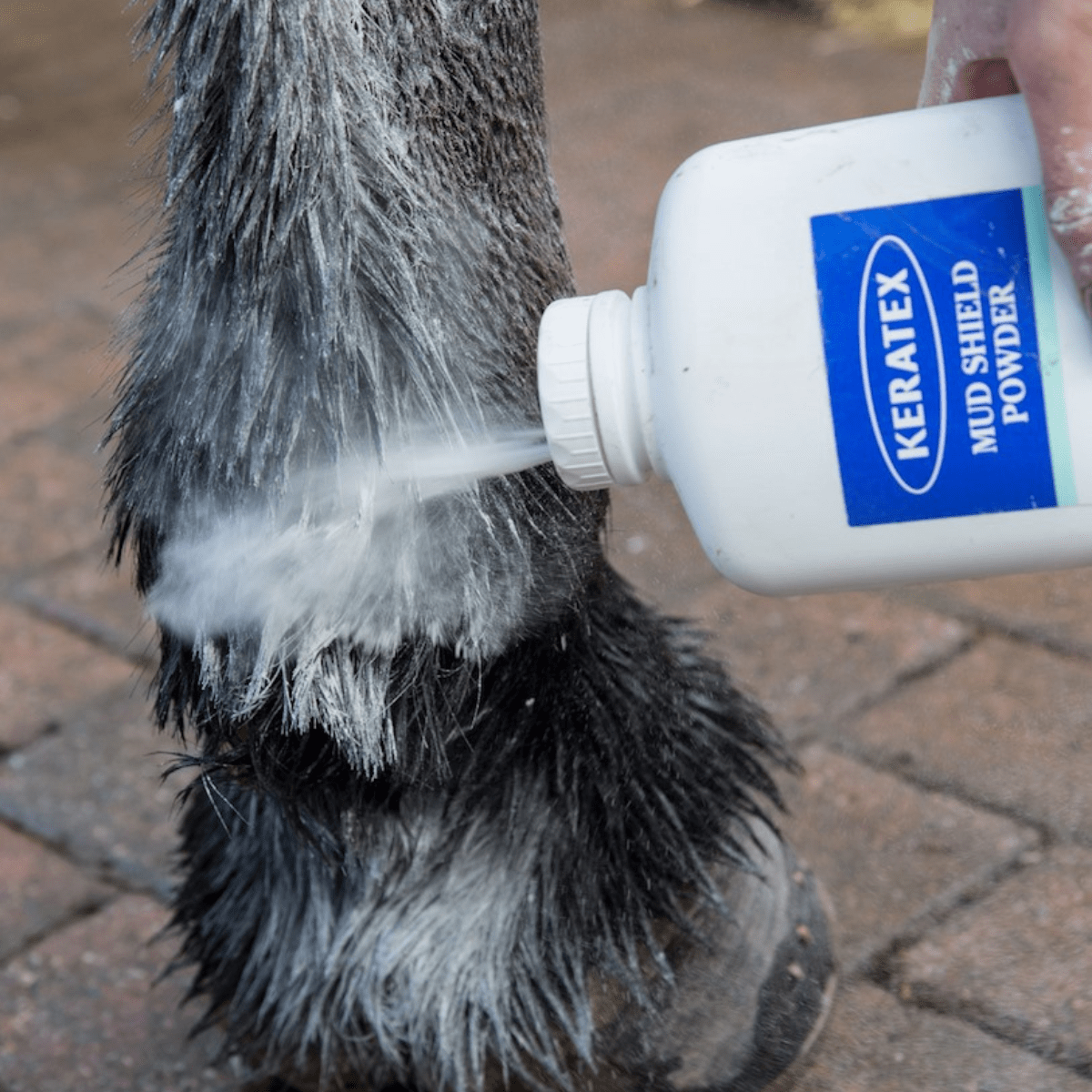 KERATEX MUD SHIELD POWDER - apsauga nuo arklio gruodo - Image 2