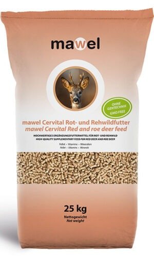 MAWEL PAŠARAI ELNIAMS, STIRNOMS, DANIELIAMS