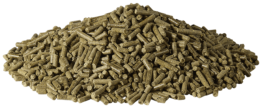 MAWEL PAŠARAI ELNIAMS, STIRNOMS, DANIELIAMS - Image 2