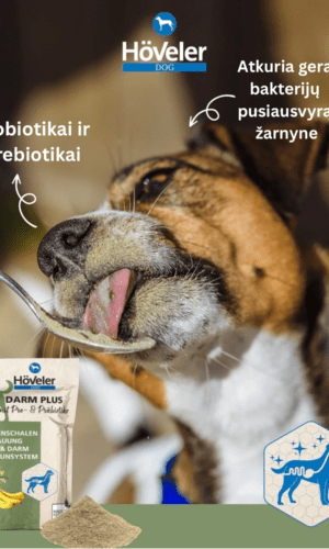 Titulinis - Rančos pašarai – kokybiški pašarai, sveikatos papildai, skanėstai žirgams. Žirgynų įranga. Taip pat rasite maistą bei papildus kitiems gyvūnams: šunims, katėms, avims, ožkoms, alpakoms, kupranugariams, triušiams, graužikams: degu, jūrų kiaulytėms, šinšiloms bei paukščiams. Vokiška kokybė, patrauklios kainos ir patikimas pasirinkimas.