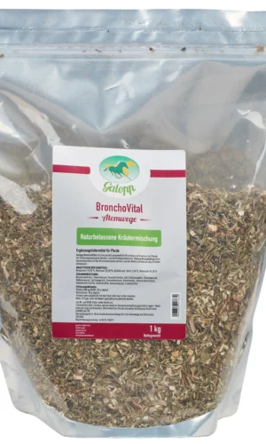 GALOPP BRONCHOVITAL - natūralios žolelės nuo kosulio arkliams