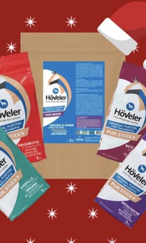 KALĖDINĖ DOVANA raiteliui, žirgui, poniui