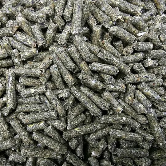 BERKEL FUTTER CHINCHILLA GOLD 25 kg - maistas šinšiloms ir degu granulėmis - Image 3