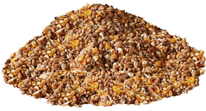 GOLDDOTT L-KO PUR 25 KG - papildomas kombinuotasis pašaras paukščiams - Image 2