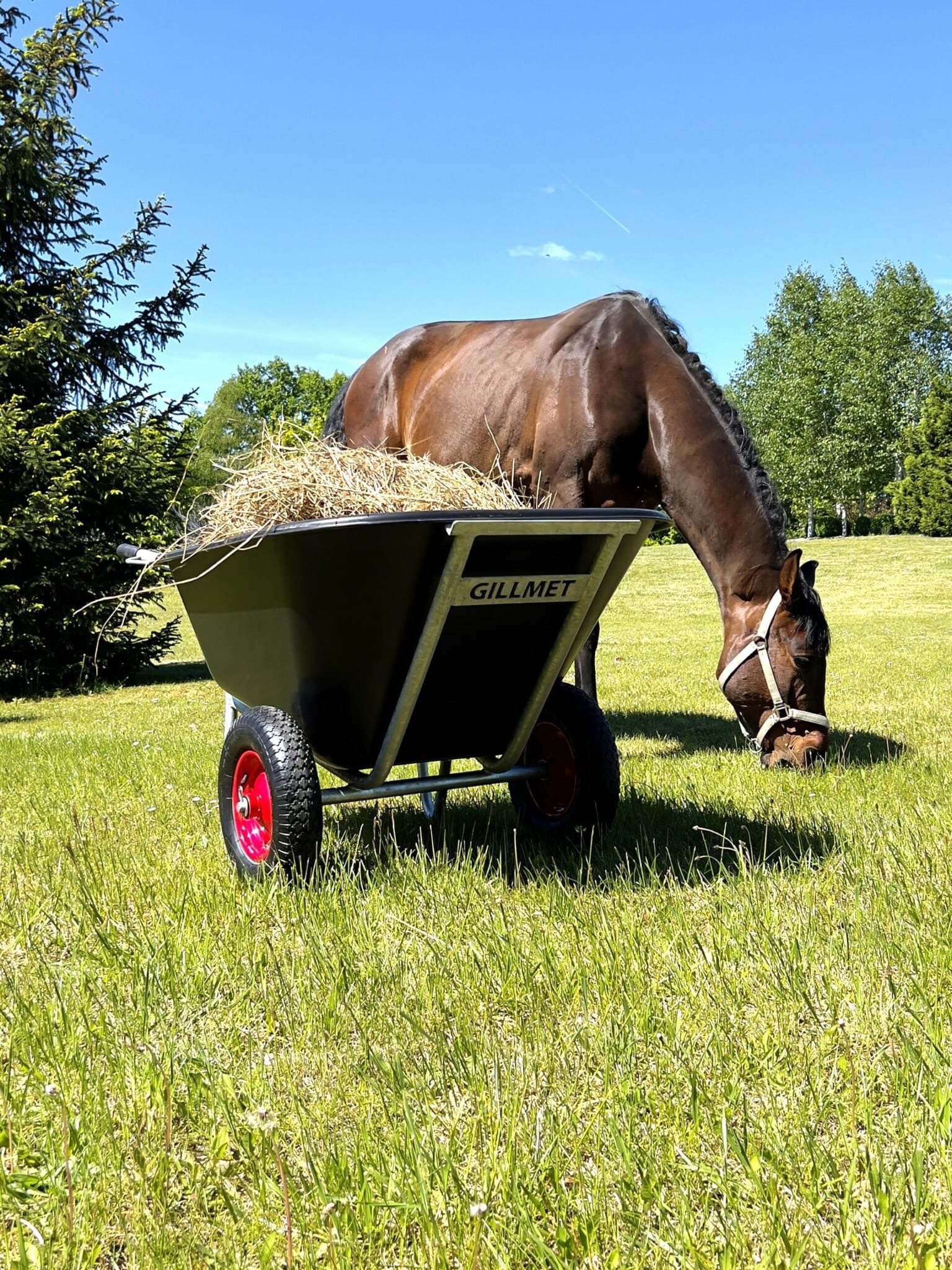 Didelis plastikinis karutis 260 L - Image 2