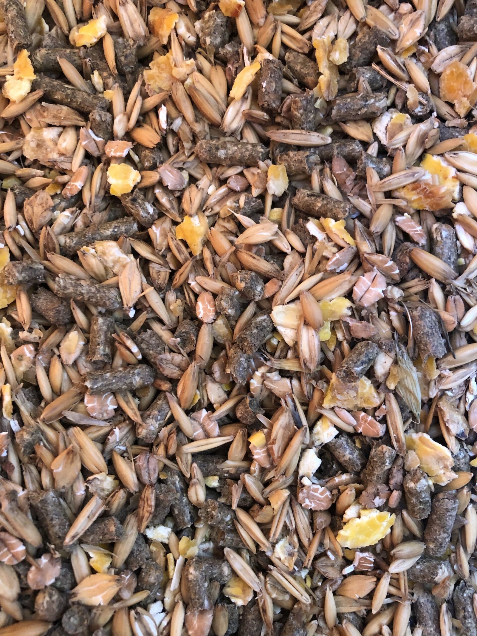 HÖVELER REFORM MIX - muslis arkliams su avižomis - Image 2