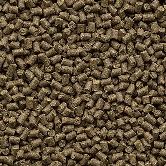 GALOPP FIBRA AMINO PLUS 20KG - pašaras žirgo raumenims ir svorio didinimui - Image 2