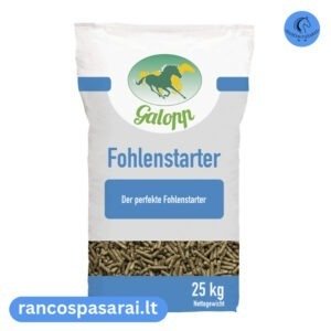 Galopp Fohlenstarter