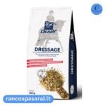 Derby Dressage