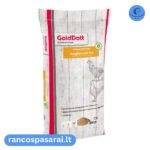 Golddott Junghennen pur