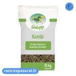 Galopp Kombi